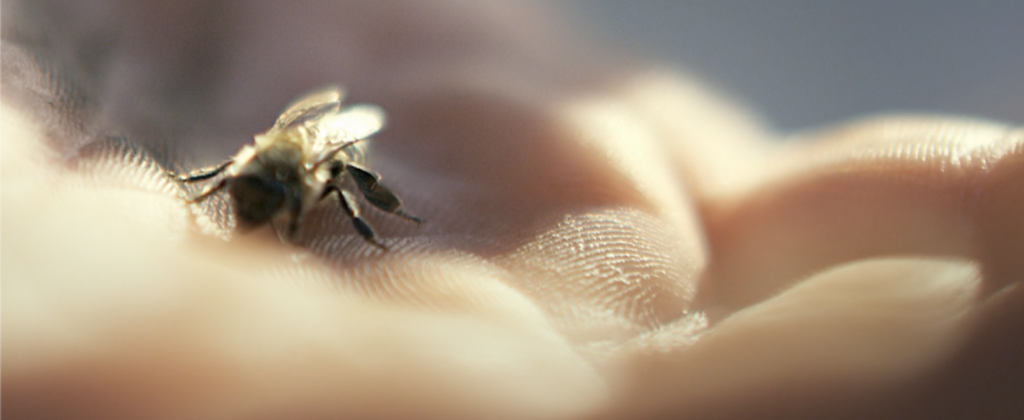 GUERLAIN OUESSANT BLACK BEE ISLAND